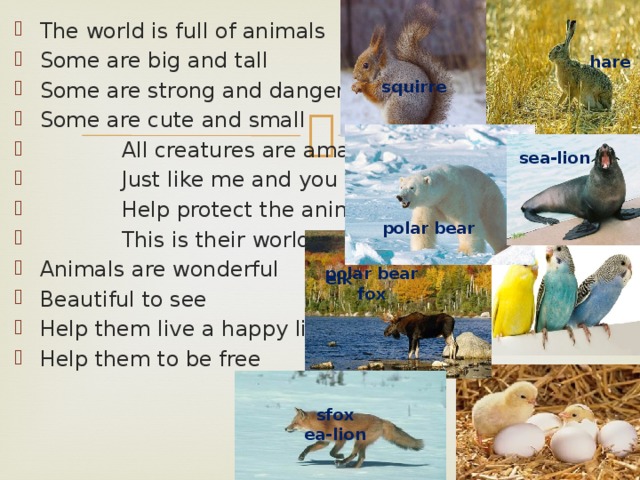 The world is full of animals Some are big and tall Some are strong and dangerous Some are cute and small  All creatures are amasing  Just like me and you  Help protect the animals  This is their world too Animals are wonderful Beautiful to see Help them live a happy life Help them to be free hare squirre sea-lion polar bear polar bear elk fox sfox ea-lion 