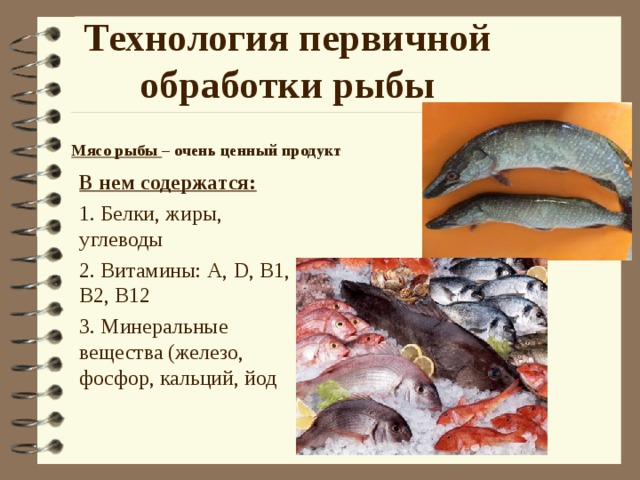 Технология первичной обработки рыбы Мясо рыбы – очень ценный продукт В нем содержатся: 1. Белки, жиры, углеводы 2. Витамины: А, D , B1 , В2, В12 3. Минеральные вещества (железо, фосфор, кальций, йод 