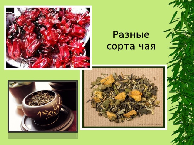 Разные сорта чая