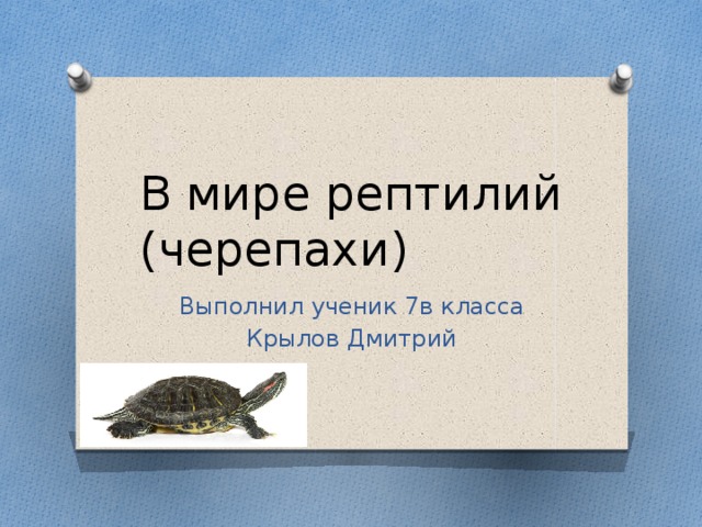 В мире рептилий (черепахи) Выполнил ученик 7в класса Крылов Дмитрий 