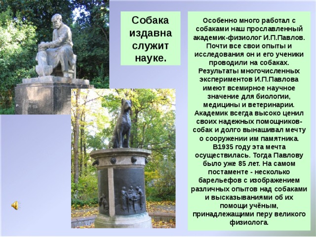 Собака издавна служит науке. Особенно много работал с собаками наш прославленный академик-физиолог И.П.Павлов. Почти все свои опыты и исследования он и его ученики проводили на собаках. Результаты многочисленных экспериментов И.П.Павлова имеют всемирное научное значение для биологии, медицины и ветеринарии. Академик всегда высоко ценил своих надежных помощников-собак и долго вынашивал мечту о сооружении им памятника. В1935 году эта мечта осуществилась. Тогда Павлову было уже 85 лет. На самом постаменте - несколько барельефов с изображением различных опытов над собаками и высказываниями об их помощи учёным, принадлежащими перу великого физиолога.