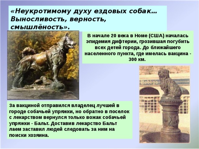 «Неукротимому духу ездовых собак… Выносливость, верность, смышлёность». В начале 20 века в Номе (США) началась эпидемия дифтерии, грозившая погубить всех детей города. До ближайшего населенного пункта, где имелась вакцина - 300 км. За вакциной отправился владелец лучшей в городе собачьей упряжки, но обратно в поселок с лекарством вернулся только вожак собачьей упряжки - Бальт. Доставив лекарство Бальт лаем заставил людей следовать за ним на поиски хозяина.