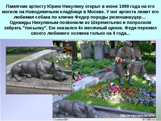 Памятник артисту Юрию Никулину открыт в июне 1999 года на его могиле на Новодевичьем кладбище в Москве. У ног артиста лежит его любимая собака по кличке Федор породы ризеншнауцер…  Однажды Никулиным позвонили из Шереметьево и попросили забрать 