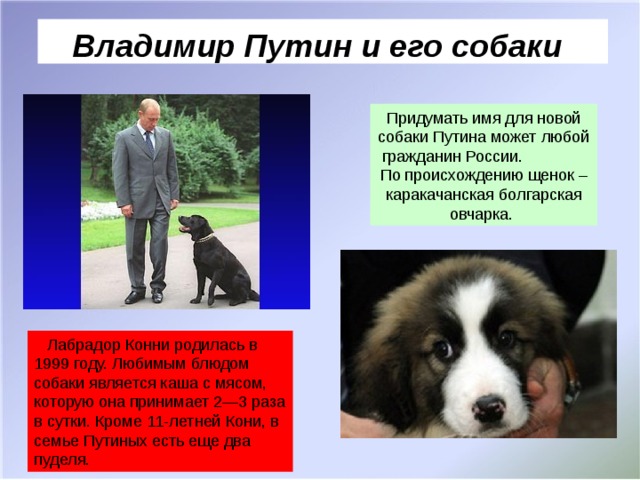 Владимир Путин и его собаки