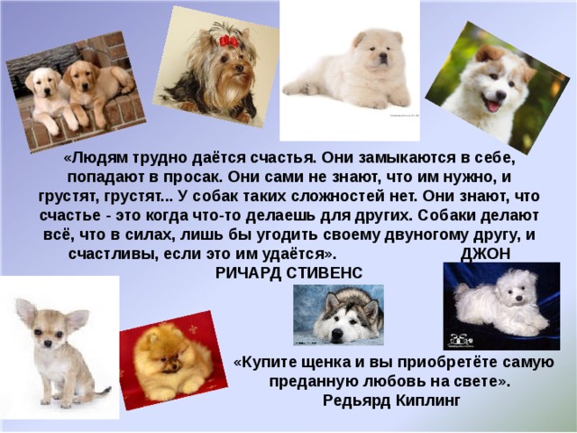 «Людям трудно даётся счастья. Они замыкаются в себе, попадают в просак. Они сами не знают, что им нужно, и грустят, грустят... У собак таких сложностей нет. Они знают, что счастье - это когда что-то делаешь для других. Собаки делают всё, что в силах, лишь бы угодить своему двуногому другу, и счастливы, если это им удаётся». ДЖОН РИЧАРД СТИВЕНС  «Купите щенка и вы приобретёте самую преданную любовь на свете».  Редьярд Киплинг