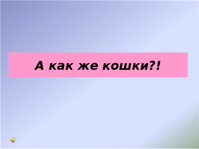 А как же кошки?!