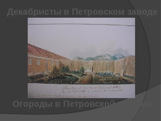 Декабристы в Петровском заводе Огороды в Петровской тюрьме 