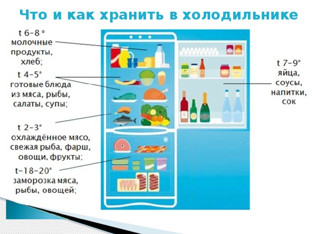 Расположение продуктов в холодильнике по полкам правильное
