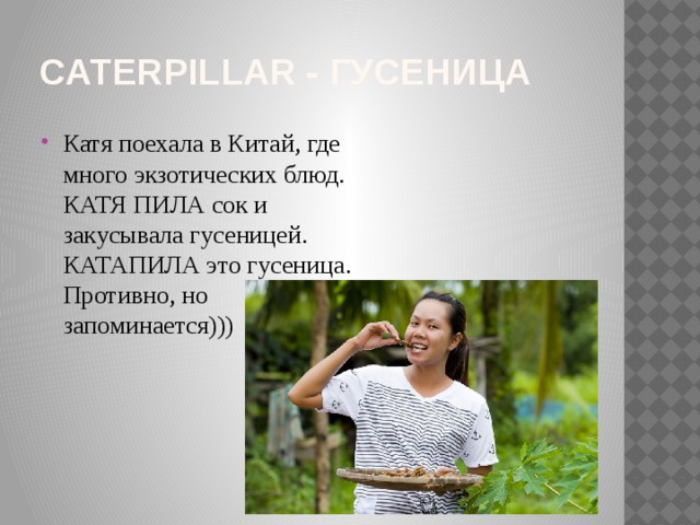 Caterpillar - гусеница Катя поехала в Китай, где много экзотических блюд. КАТЯ ПИЛА сок и закусывала гусеницей. КАТАПИЛА это гусеница. Противно, но запоминается))) 