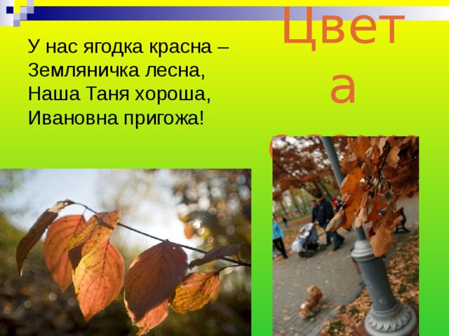 Цвета осени У нас ягодка красна – Земляничка лесна, Наша Таня хороша, Ивановна пригожа! 