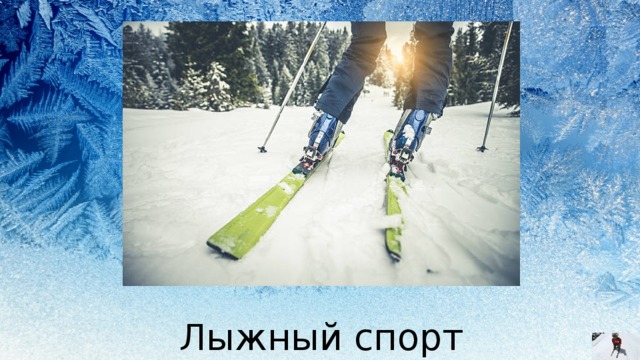 Лыжный спорт 
