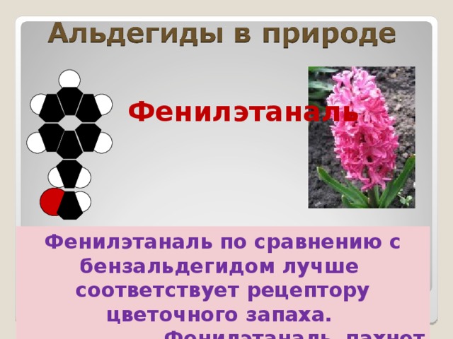 Фенилэтаналь Фенилэтаналь по сравнению с бензальдегидом лучше соответствует рецептору цветочного запаха.  Фенилэтаналь пахнет гиацинтом. 