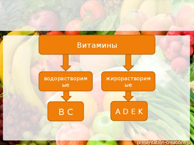 Витамины водорастворимые жирорастворимые A D E K B C 