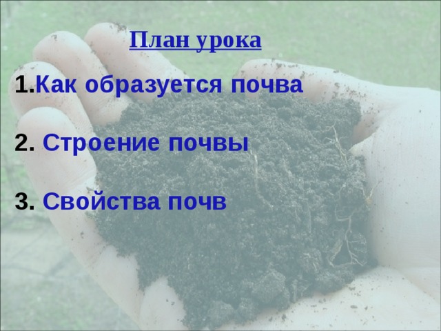  План урока Как образуется почва   Строение почвы   Свойства почв 