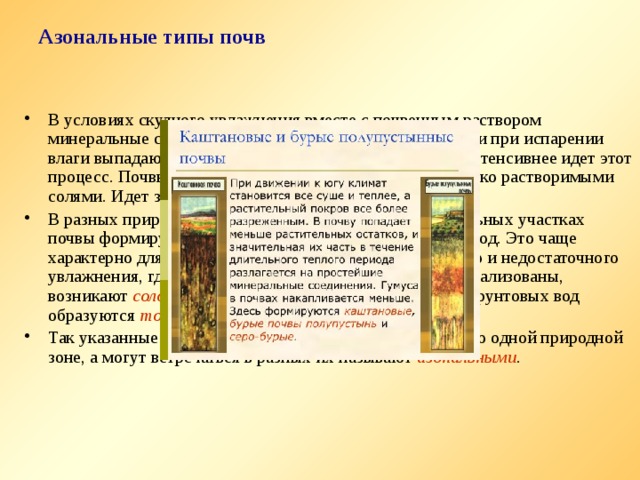 Подзолистые почвы азональные. Зональные и азональные типы почв. Азональные типы почв России. Азональные почвы виды. Азональные почвы примеры.