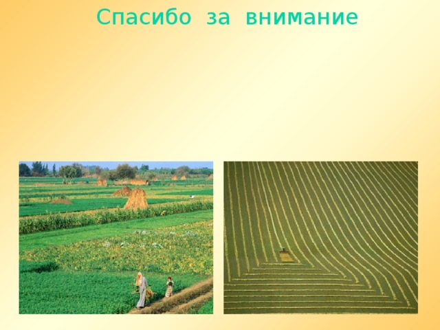 Спасибо за внимание 