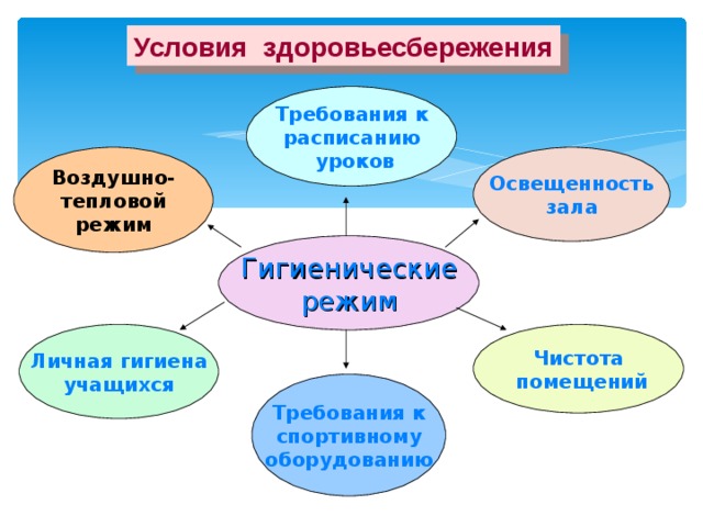 Условия здоровьесбережения Требования к расписанию  уроков Воздушно- тепловой режим Освещенность зала Гигиенические режим Личная гигиена учащихся Чистота  помещений Требования к спортивному оборудованию 