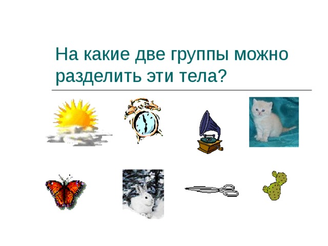 На какие две группы можно разделить эти тела ? 