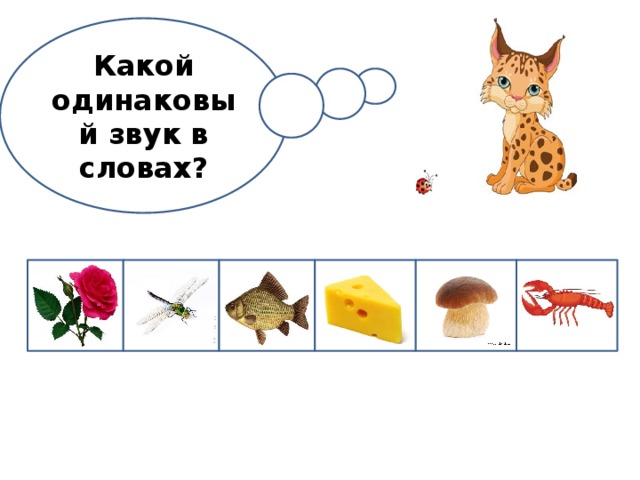 Какой одинаковый звук в словах? 