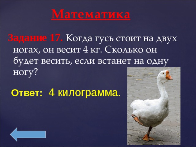 Ответ сколько весит. Когда Гусь стоит на двух ногах. Сколько весит Гусь. Гусь стоит на одной ноге. Гусь на одной ноге весит 4 кг ответ.