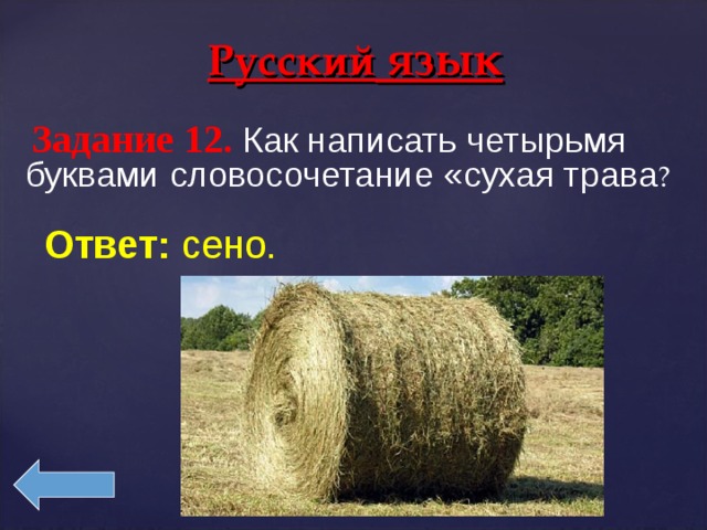 Роль 4 буквы. Как написать сухая трава четырьмя буквами. Как в четырех клетках написать сухая трава. Как записать сухая трава 4 буквами. Загадка с ответом сено.