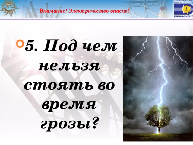  Внимание! Электричество опасно! 5. Под чем нельзя стоять во время грозы? 