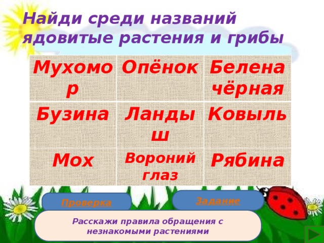 Найди среди названий ядовитые растения и грибы Мухомор Опёнок Бузина Ландыш Мох Белена чёрная Вороний глаз Ковыль Рябина  Задание Проверка Расскажи правила обращения с незнакомыми растениями  