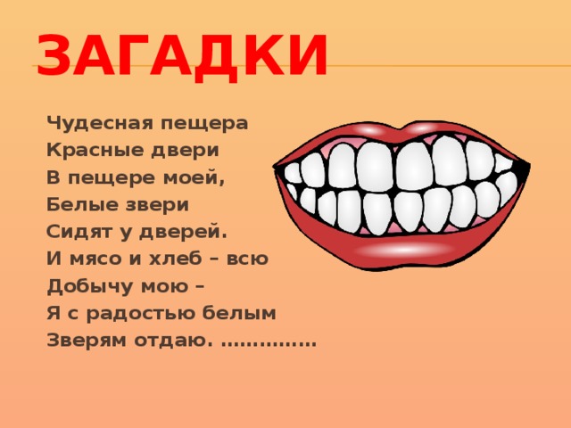 Загадка бел. Загадка красные двери. Загадка красные двери в пещере моей белые звери сидят у дверей. Красные двери в пещере моей загадка. Красные двери в пещере.