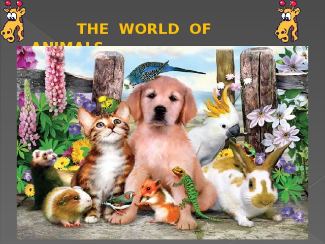  THE WORLD OF ANIMALS 