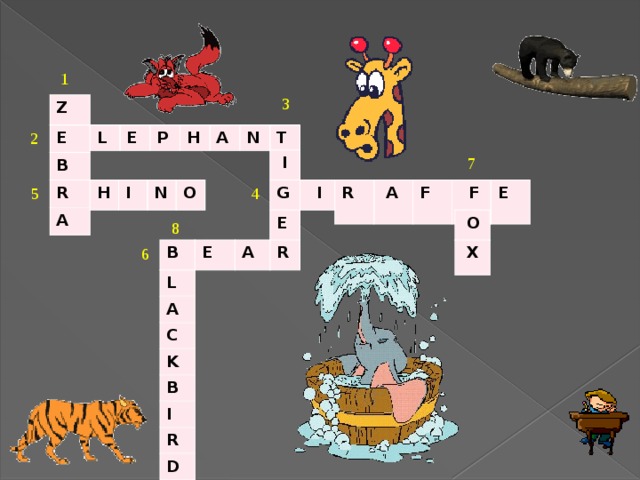 1 3 Z  2 E B R A L E P H A N T  7  I G E R 5 4  I H R I  A N F O  F  E  O 8 6 B A  X E L A C K B I R D 