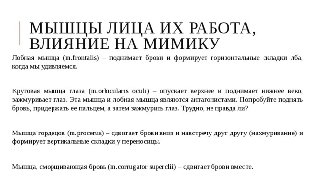 Мышцы лица их работа, влияние на мимику Лобная мышца (m.frontalis) – поднимает брови и формирует горизонтальные складки лба, когда мы удивляемся. Круговая мышца глаза (m.orbicularis oculi) – опускает верхнее и поднимает нижнее веко, зажмуривает глаз. Эта мышца и лобная мышца являются антагонистами. Попробуйте поднять бровь, придержать ее пальцем, а затем зажмурить глаз. Трудно, не правда ли? Мышца гордецов (m.procerus) – сдвигает брови вниз и навстречу друг другу (нахмуривание) и формирует вертикальные складки у переносицы. Мышца, сморщивающая бровь (m.corrugator superclii) – сдвигает брови вместе. 