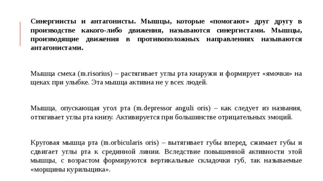 Синергиисты и антагонисты. Мышцы, которые «помогают» друг другу в производстве какого-либо движения, называются синергистами. Мышцы, производящие движения в противоположных направлениях называются антагонистами. Мышца смеха (m.risorius) – растягивает углы рта кнаружи и формирует «ямочки» на щеках при улыбке. Эта мышца активна не у всех людей. Мышца, опускающая угол рта (m.depressor anguli oris) – как следует из названия, оттягивает углы рта книзу. Активируется при большинстве отрицательных эмоций. Круговая мышца рта (m.orbicularis oris) – вытягивает губы вперед, сжимает губы и сдвигает углы рта к срединной линии. Вследствие повышенной активности этой мышцы, с возрастом формируются вертикальные складочки губ, так называемые «морщины курильщика». 