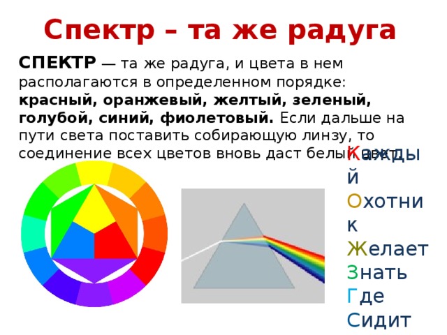 Спектр – та же радуга СПЕКТР — та же радуга, и цвета в нем располагаются в определенном порядке: красный, оранжевый, желтый, зеленый, голубой, синий, фиолетовый. Если дальше на пути света поставить собирающую линзу, то соединение всех цветов вновь даст белый цвет. К аждый О хотник Ж елает З нать Г де С идит Ф азан Если дальше на пути света поставить собирательную линзу, то соединение всех цветов вновь даст белый цвет  