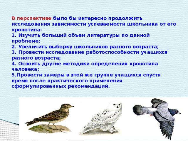 В перспективе было бы интересно продолжить исследования зависимости успеваемости школьника от его хронотипа:  1. Изучить больший объем литературы по данной проблеме;  2. Увеличить выборку школьников разного возраста;  3. Провести исследование работоспособности учащихся разного возраста;  4. Освоить другие методики определения хронотипа человека;  5.Провести замеры в этой же группе учащихся спустя время после практического применения сформулированных рекомендаций.   