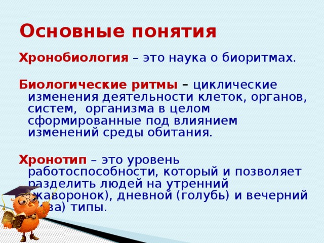 Проект влияние хронотипов на жизнь человека