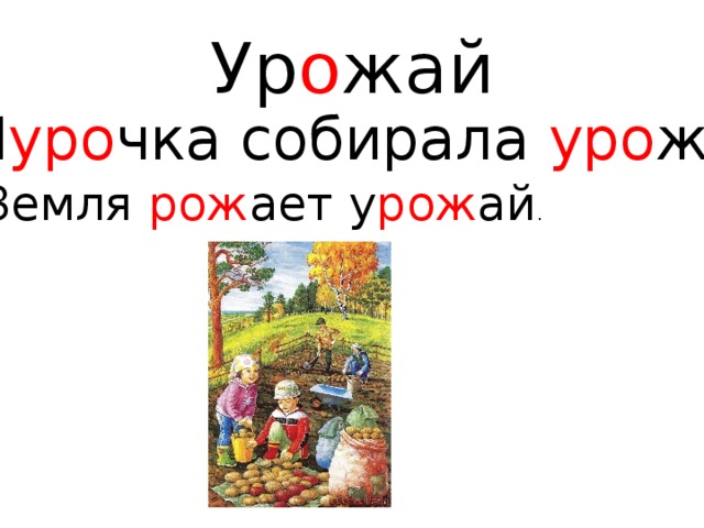   Ур о жай    Ш уро чка собирала уро жай . Земля рож ает у рож ай . 