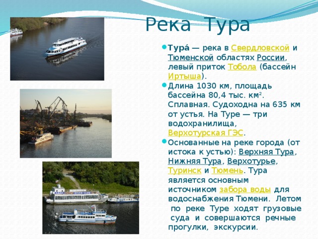 Река тура проект