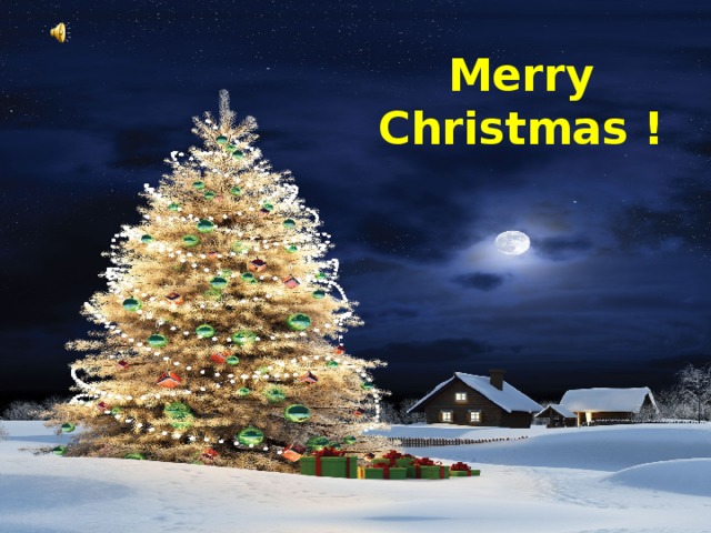 Merry Christmas ! 