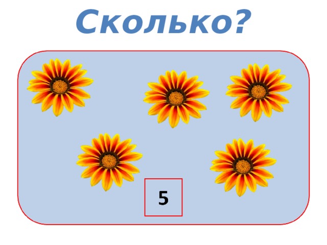 Сколько? 