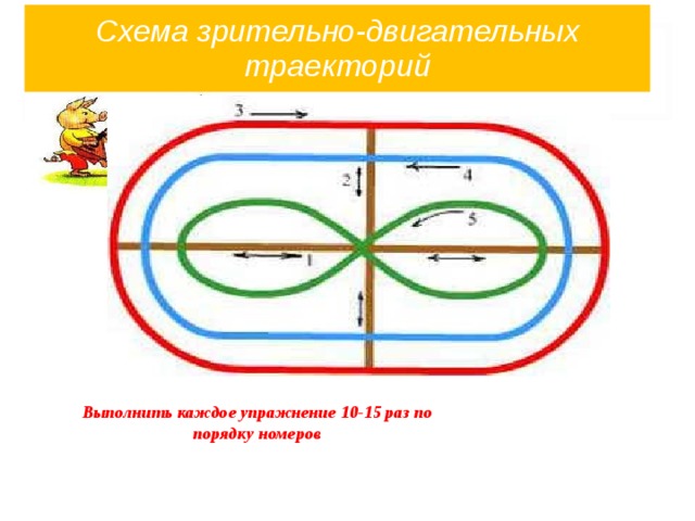 Схемы зрительных траекторий