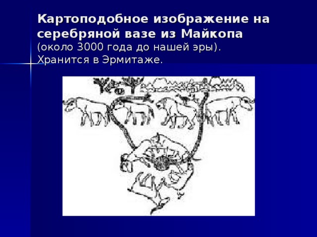 Картоподобное изображение на серебряной вазе из Майкопа  (около 3000 года до нашей эры).  Хранится в Эрмитаже. 