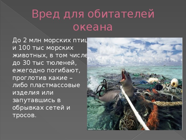 Вред для обитателей океана До 2 млн морских птиц и 100 тыс морских животных, в том числе до 30 тыс тюленей, ежегодно погибают, проглотив какие – либо пластмассовые изделия или запутавшись в обрывках сетей и тросов. 