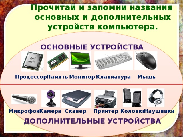 Группа объектов. Щука дятел комар рысь общее название. Общее название. Объект и его свойства информатика. Подчеркни названия природных объектов ромашка.