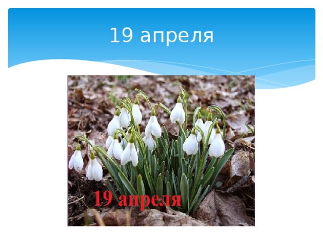 19 апреля