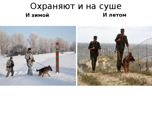 Охраняют и на суше И летом И зимой 