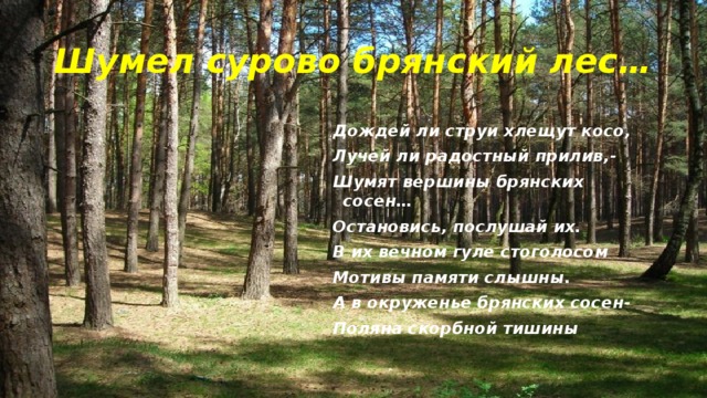 Шумел сурово брянский лес… Дождей ли струи хлещут косо, Лучей ли радостный прилив,- Шумят вершины брянских сосен… Остановись, послушай их. В их вечном гуле стоголосом Мотивы памяти слышны. А в окруженье брянских сосен- Поляна скорбной тишины