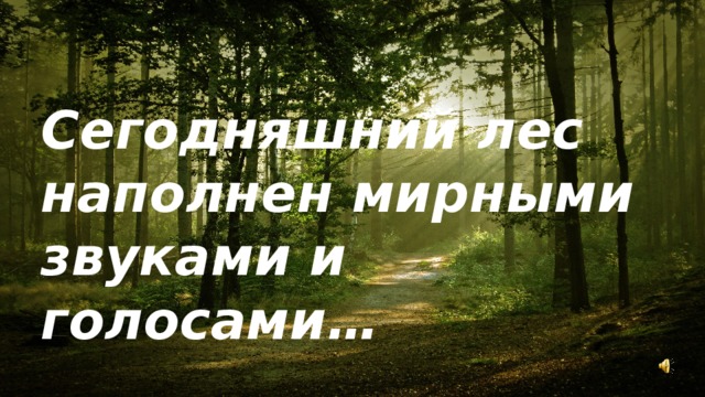 Сегодняшний лес наполнен мирными звуками и голосами…