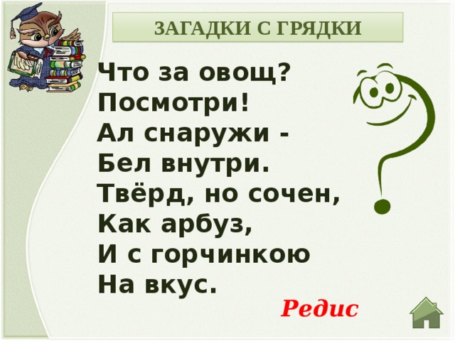 ЗАГАДКИ С ГРЯДКИ Что за овощ? Посмотри! Ал снаружи - Бел внутри. Твёрд, но сочен, Как арбуз, И с горчинкою На вкус. Редис