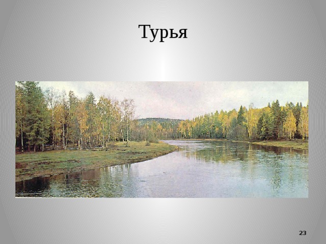 Турья  