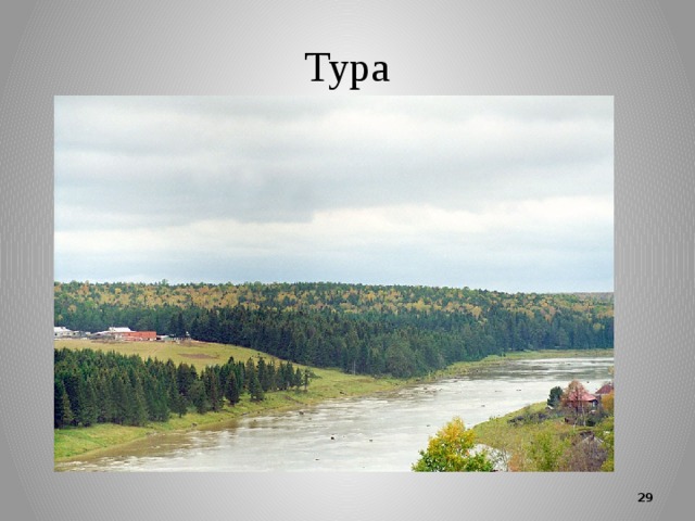 Тура  